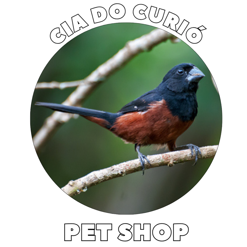 cia_do_curio_petshop_em_vargem_grande_vargemgrande_tudo_para_o_seu_pet